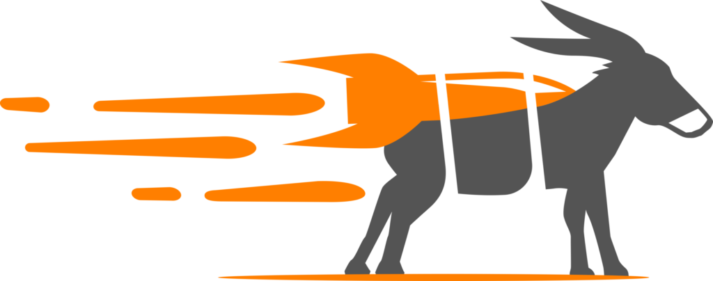 Rocket Mule client logo